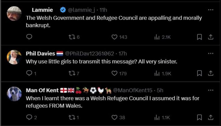 The Welsh Government and Refugee Council is using little girls to ...